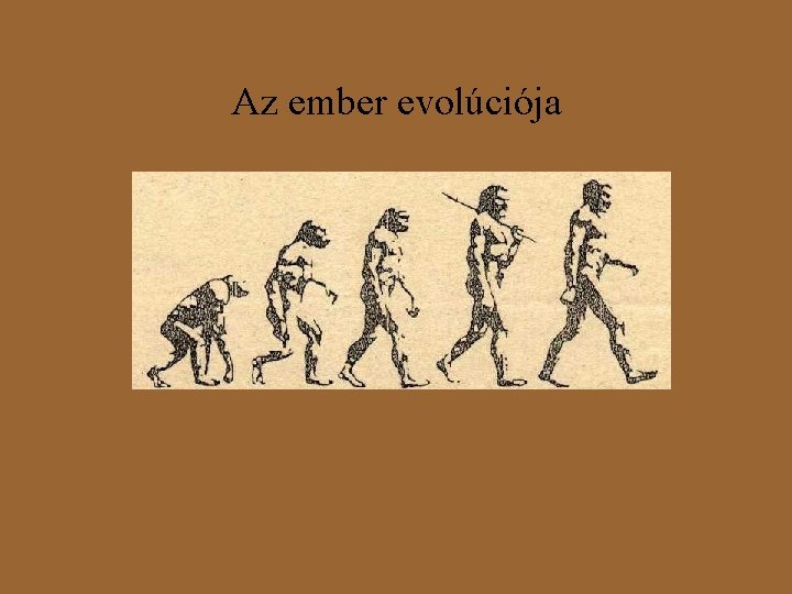 Az ember evolúciója 