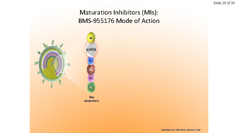Slide 25 of 39 Maturation Inhibitors (MIs): BMS-955176 Mode of Action Gag polyprotein Lataillade
