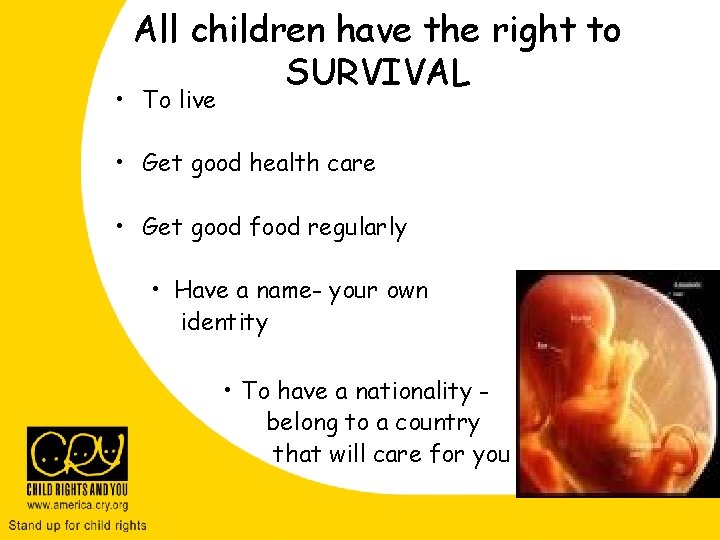 All children have the right to SURVIVAL • To live • Get good health All children have the right to SURVIVAL • To live • Get good health