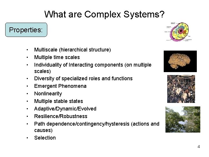 672010 SJC Santa Fe Institute Complex Systems Summer