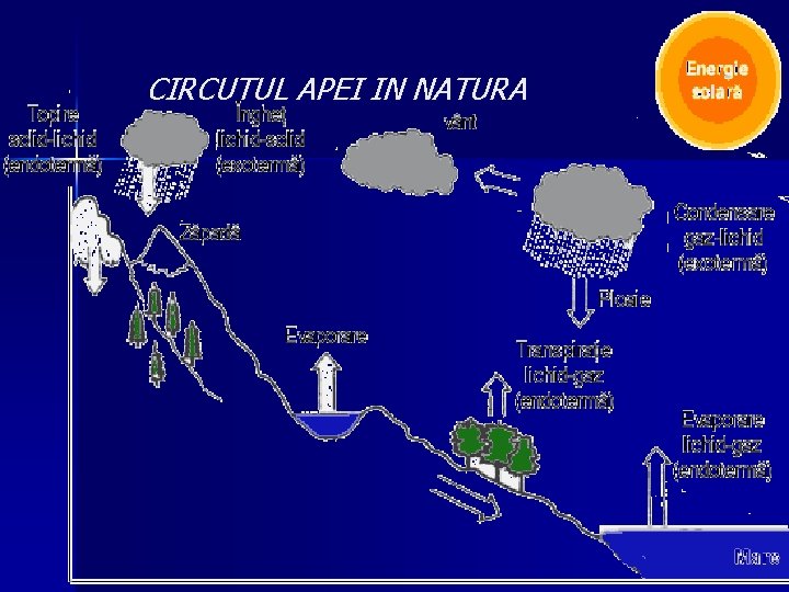 CIRCUTUL APEI IN NATURA 