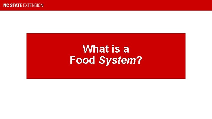 What is a Food System? 