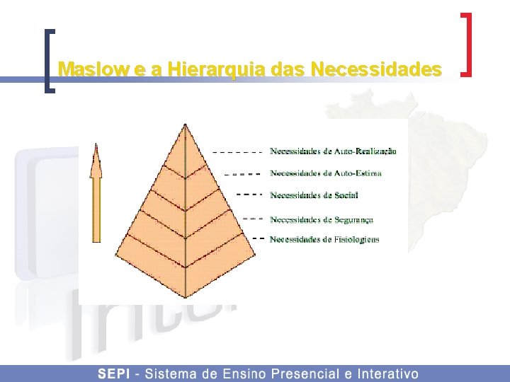 Maslow e a Hierarquia das Necessidades 