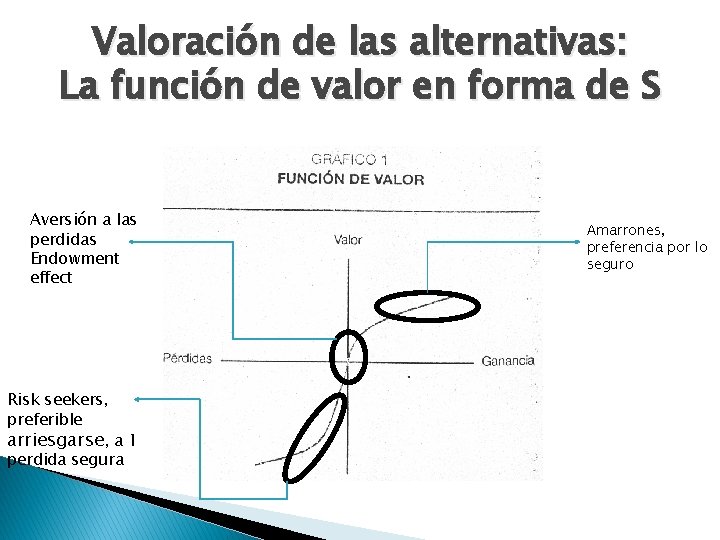 Valoración de las alternativas: La función de valor en forma de S Aversión a