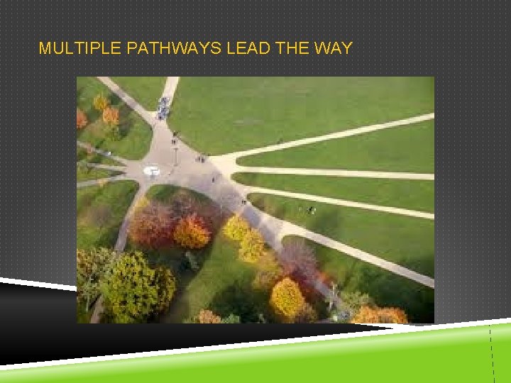 MULTIPLE PATHWAYS LEAD THE WAY 