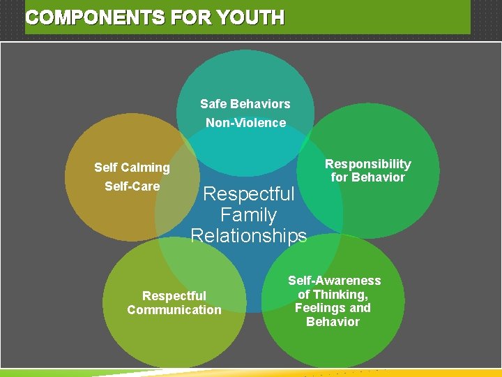 COMPONENTS FOR YOUTH Safe Behaviors Non-Violence Self Calming Self-Care Respectful Family Relationships Respectful Communication