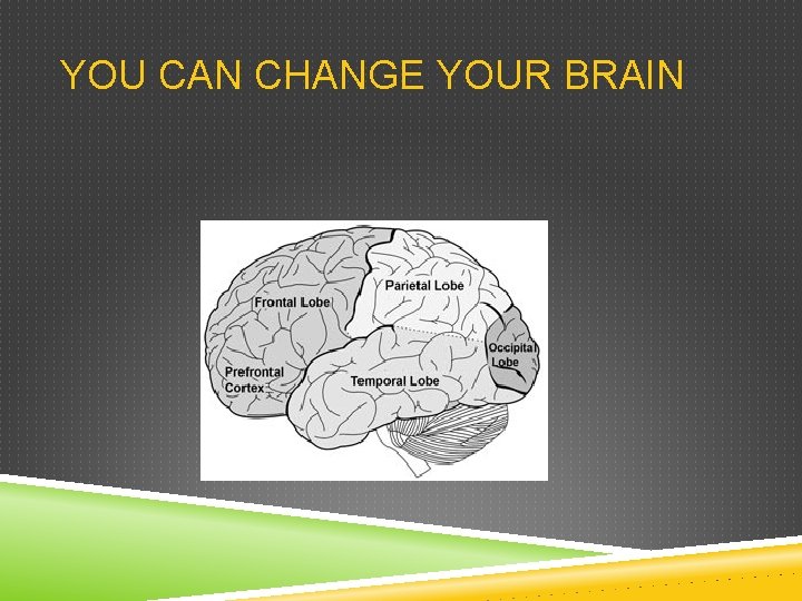YOU CAN CHANGE YOUR BRAIN 