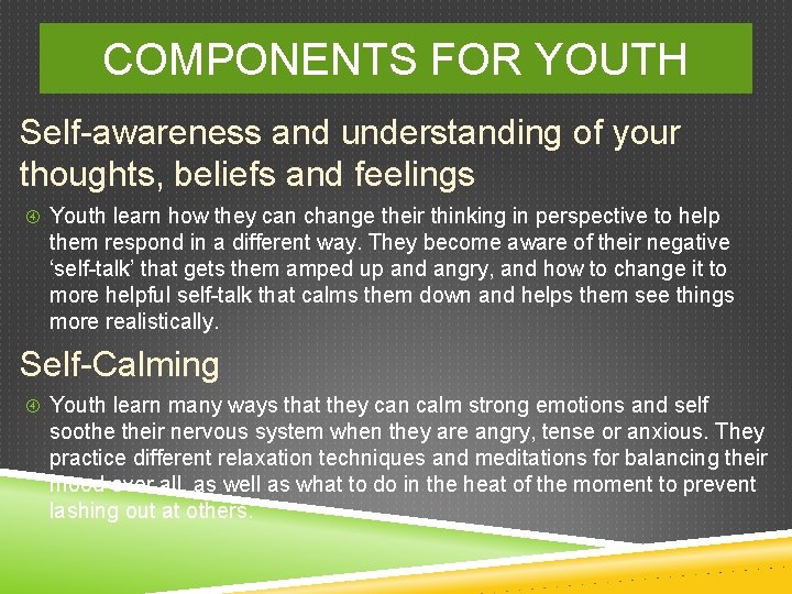 COMPONENTS FOR YOUTH Self-awareness and understanding of your thoughts, beliefs and feelings Youth learn
