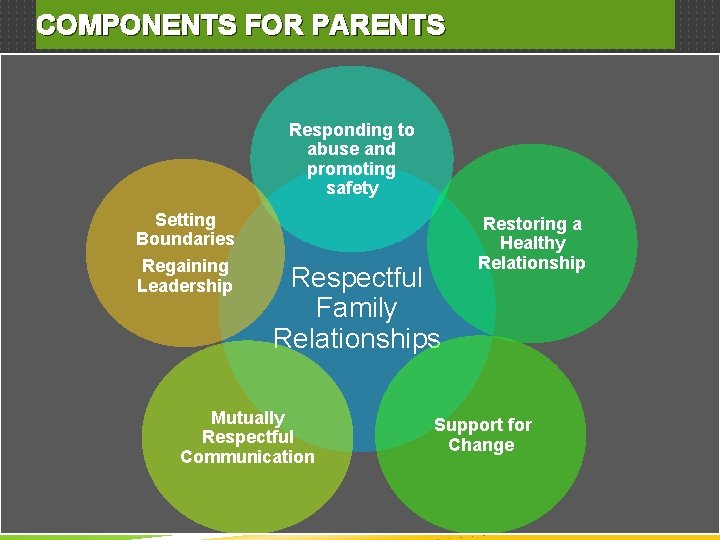 COMPONENTS FOR PARENTS Responding to abuse and promoting safety Setting Boundaries Regaining Leadership Respectful
