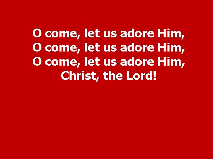 O come, let us adore Him, Christ, the Lord! 