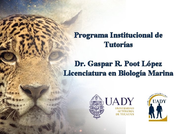Programa Institucional de Tutorías Dr. Gaspar R. Poot López Licenciatura en Biología Marina Programa Programa Institucional de Tutorías Dr. Gaspar R. Poot López Licenciatura en Biología Marina Programa