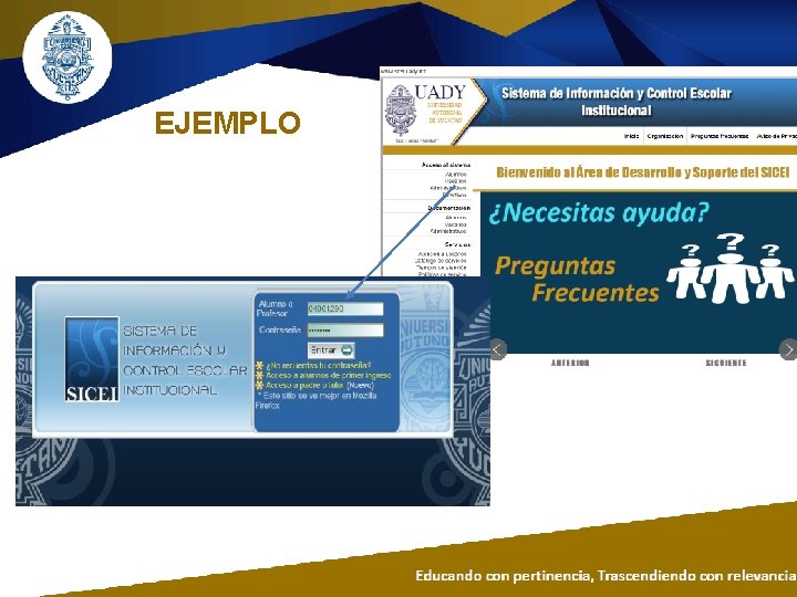EJEMPLO EJEMPLO