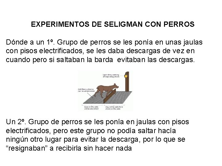 EXPERIMENTOS DE SELIGMAN CON PERROS Dónde a un 1º. Grupo de perros se les