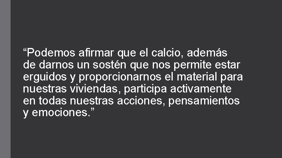 “Podemos afirmar que el calcio, además de darnos un sostén que nos permite estar