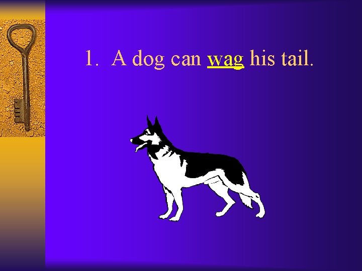 1. A dog can wag his tail. 