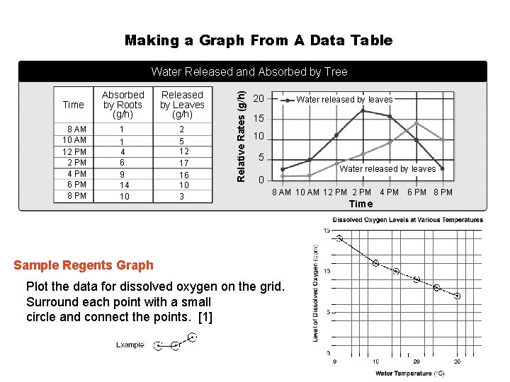 Section 1 -4 Making a Graph From A Data Table Time Absorbed by Roots