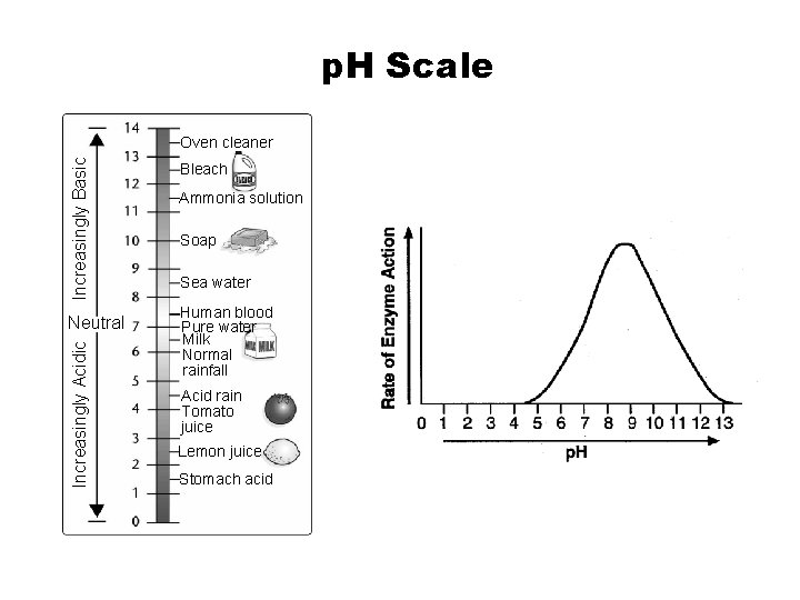 p. H Scale Section 2 -2 Increasingly Basic Oven cleaner Increasingly Acidic Neutral Go