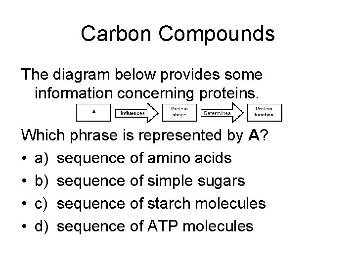 Carbon Compounds The diagram below provides some information concerning proteins. Which phrase is represented