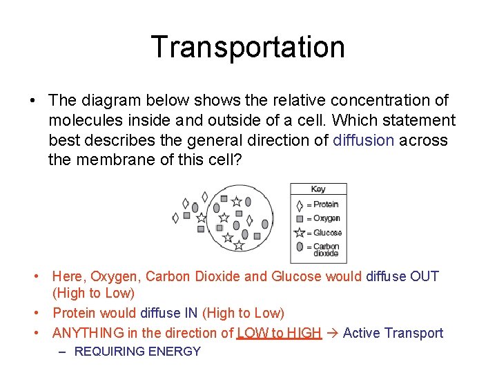 Transportation • The diagram below shows the relative concentration of molecules inside and outside