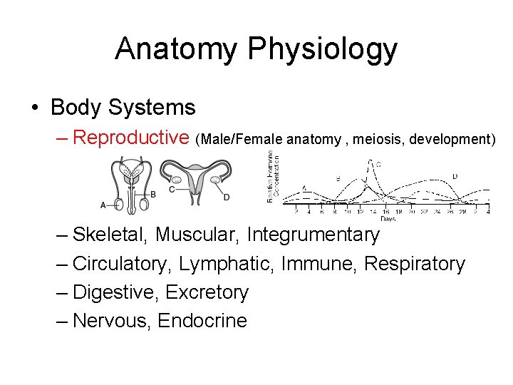 Anatomy Physiology • Body Systems – Reproductive (Male/Female anatomy , meiosis, development) – Skeletal,