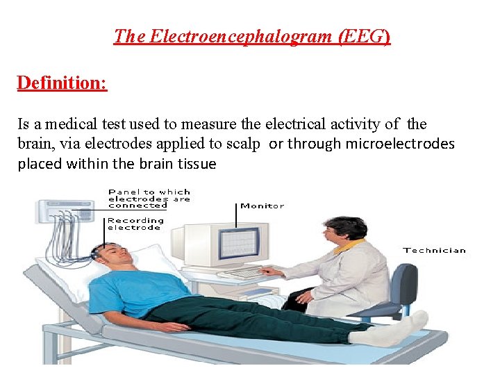 The Electroencephalogram (EEG) Definition: Is a medical test used to measure the electrical activity