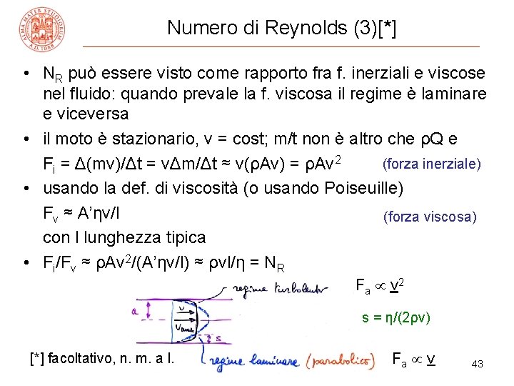 Numero di Reynolds (3)[*] • NR può essere visto come rapporto fra f. inerziali