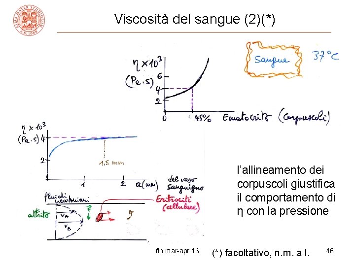 Viscosità del sangue (2)(*) l’allineamento dei corpuscoli giustifica il comportamento di η con la