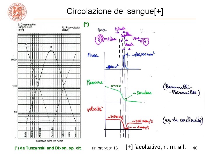 Circolazione del sangue[+] (*) 150 mbar (*) da Tuszynski and Dixon, op. cit. fln