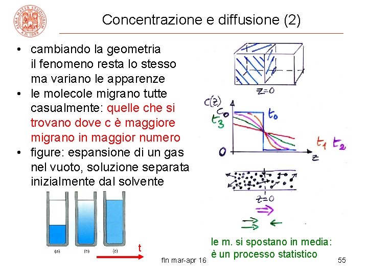 Concentrazione e diffusione (2) • cambiando la geometria il fenomeno resta lo stesso ma