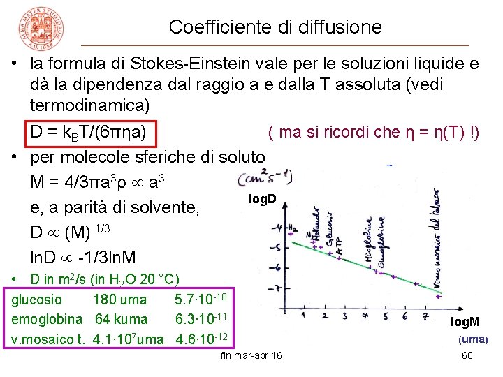 Coefficiente di diffusione • la formula di Stokes-Einstein vale per le soluzioni liquide e