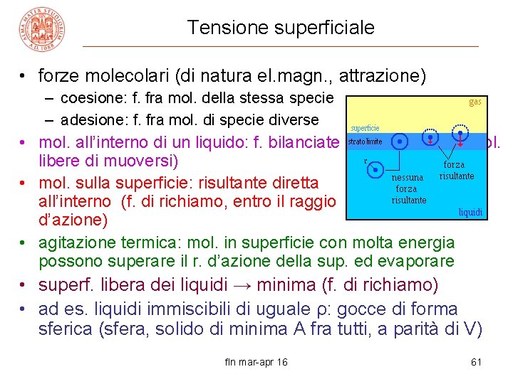 Tensione superficiale • forze molecolari (di natura el. magn. , attrazione) – coesione: f.