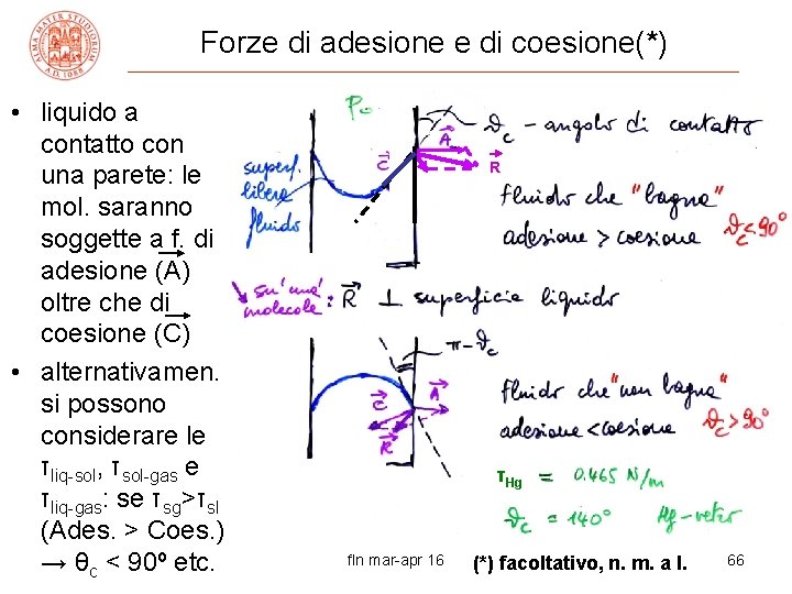 Forze di adesione e di coesione(*) • liquido a contatto con una parete: le