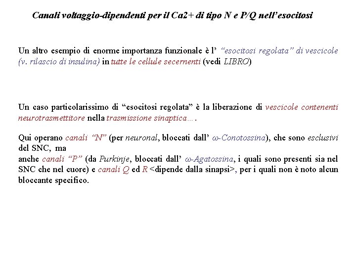 Canali voltaggio-dipendenti per il Ca 2+ di tipo N e P/Q nell’esocitosi Un altro Canali voltaggio-dipendenti per il Ca 2+ di tipo N e P/Q nell’esocitosi Un altro