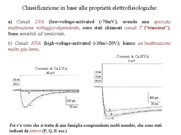 Classificazione in base alle proprietà elettrofisiologiche: a) Canali LVA (low-voltage-activated (-70 m. V); avendo Classificazione in base alle proprietà elettrofisiologiche: a) Canali LVA (low-voltage-activated (-70 m. V); avendo
