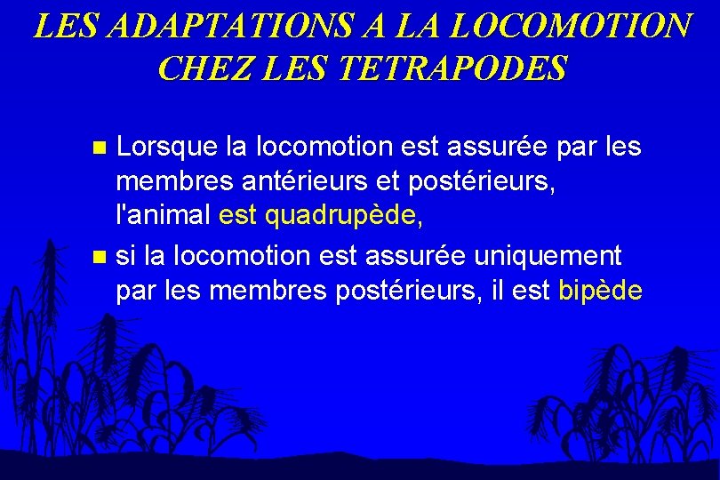 LES ADAPTATIONS A LA LOCOMOTION CHEZ LES TETRAPODES Lorsque la locomotion est assurée par