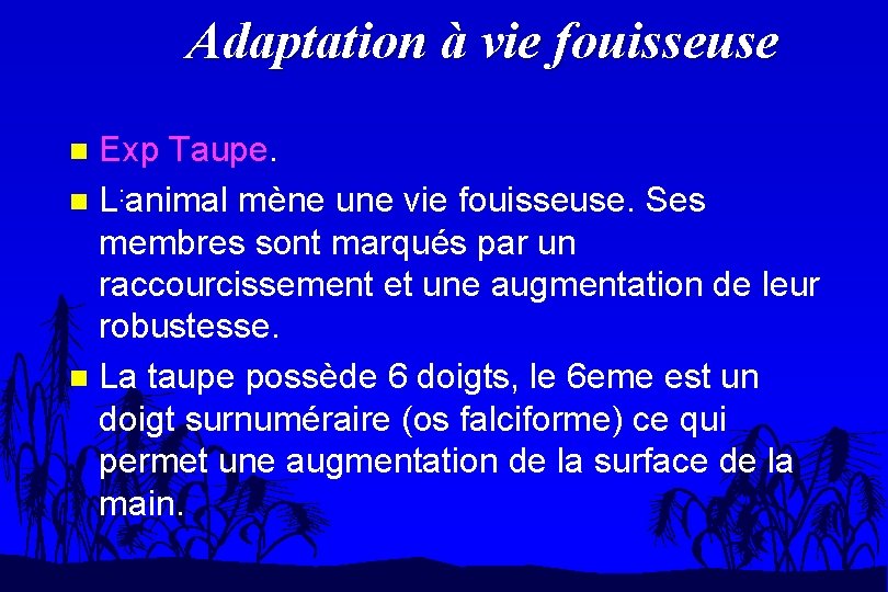 Adaptation à vie fouisseuse Exp Taupe. n L: animal mène une vie fouisseuse. Ses