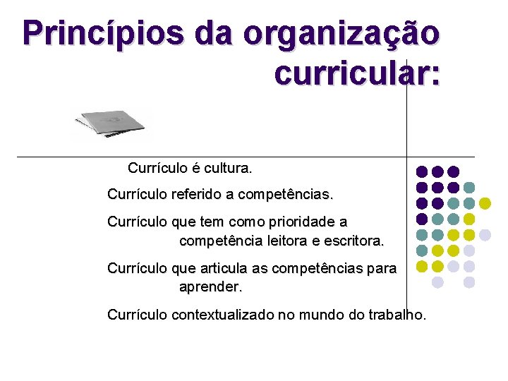 Princípios da organização curricular: Currículo é cultura. Currículo referido a competências. Currículo que tem