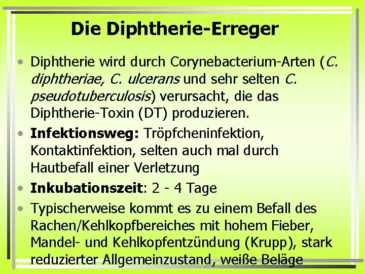 Die Diphtherie-Erreger • Diphtherie wird durch Corynebacterium-Arten (C. diphtheriae, C. ulcerans und sehr selten