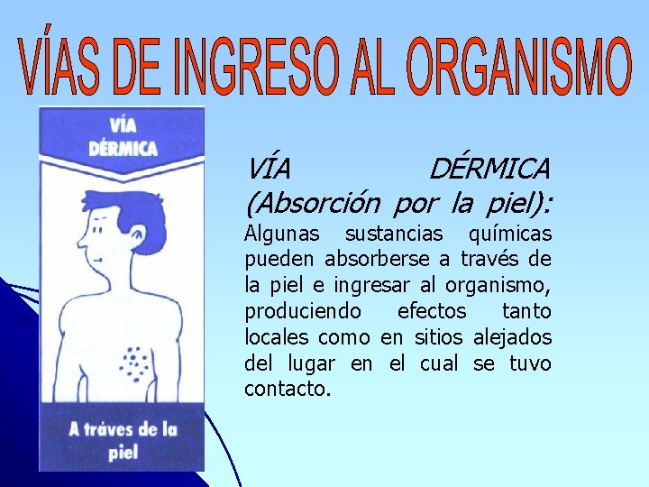 VÍA DÉRMICA (Absorción por la piel): Algunas sustancias químicas pueden absorberse a través de