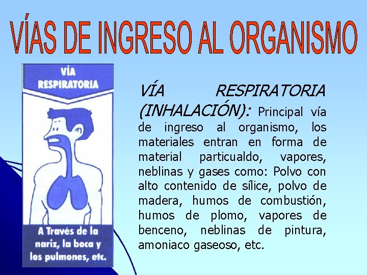 VÍA RESPIRATORIA (INHALACIÓN): Principal vía de ingreso al organismo, los materiales entran en forma