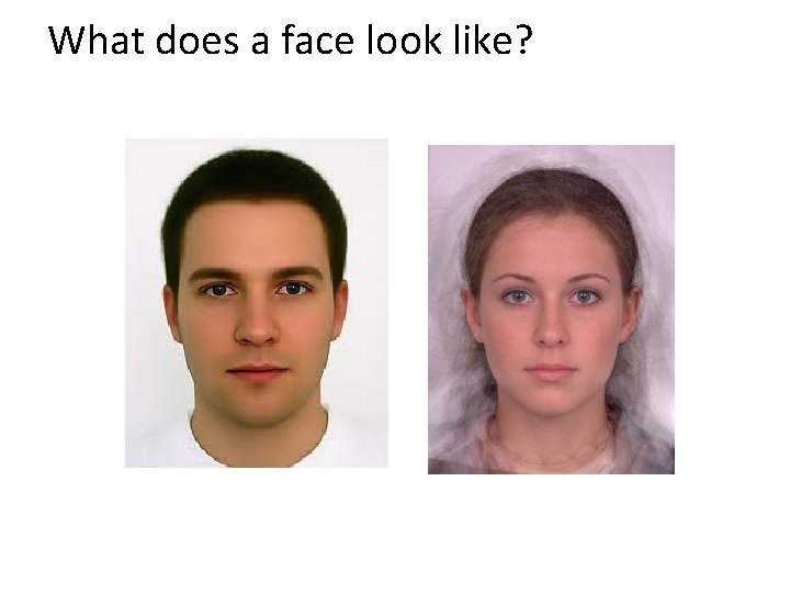 What does a face look like? 