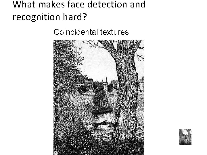 What makes face detection and recognition hard? Coincidental textures 