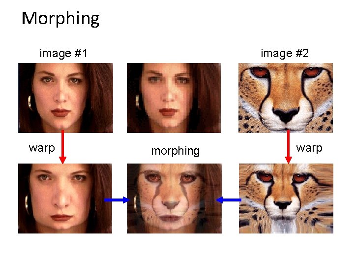 Morphing image #1 warp image #2 morphing warp 