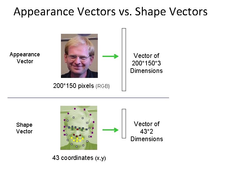 Appearance Vectors vs. Shape Vectors Appearance Vector of 200*150*3 Dimensions 200*150 pixels (RGB) Vector