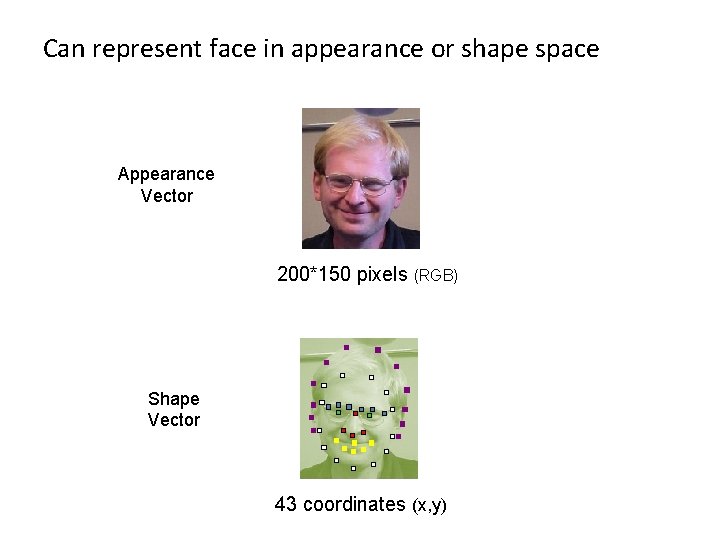 Can represent face in appearance or shape space Appearance Vector 200*150 pixels (RGB) Shape