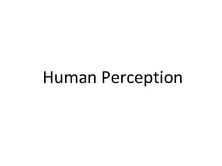 Human Perception 