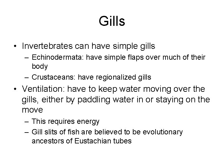 Gills • Invertebrates can have simple gills – Echinodermata: have simple flaps over much