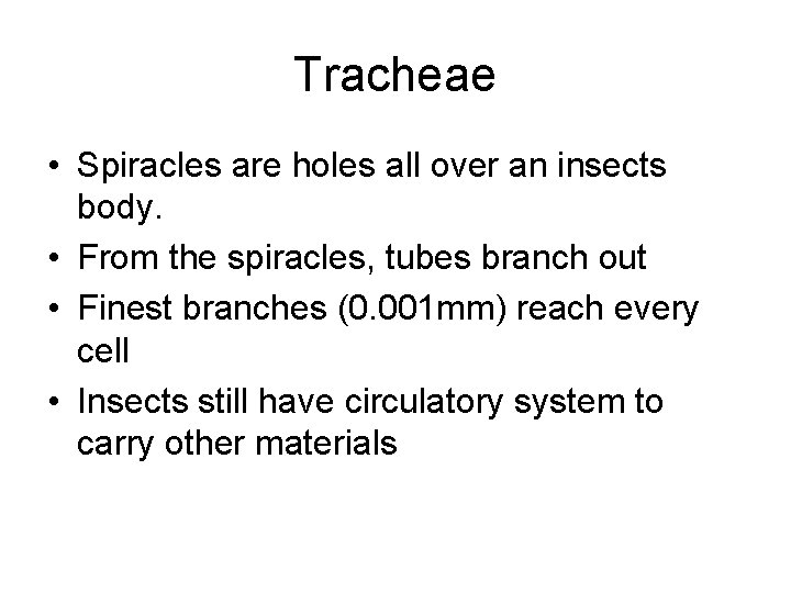 Tracheae • Spiracles are holes all over an insects body. • From the spiracles,