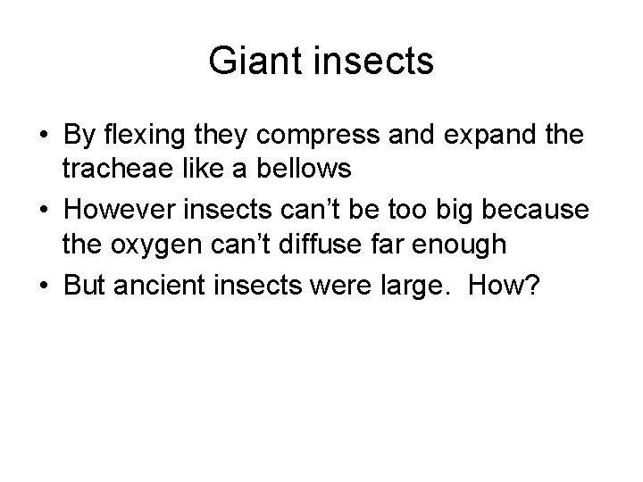 Giant insects • By flexing they compress and expand the tracheae like a bellows