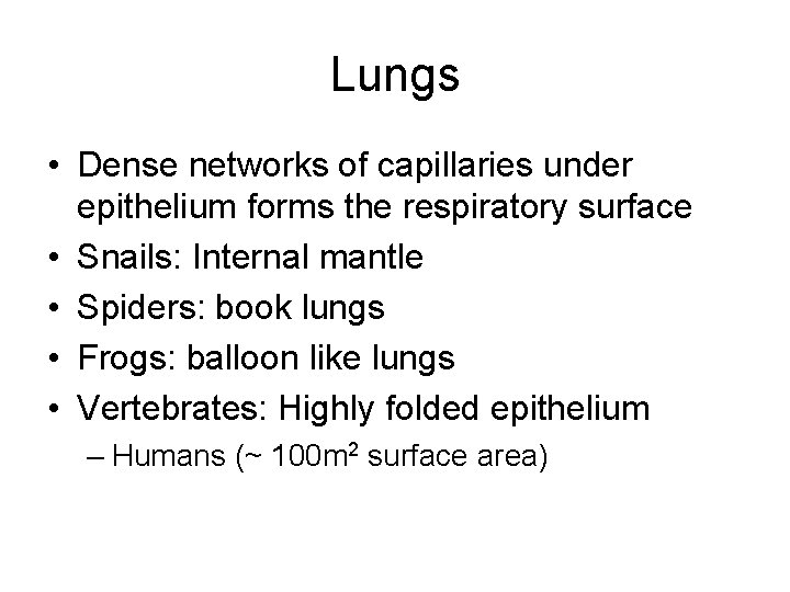 Lungs • Dense networks of capillaries under epithelium forms the respiratory surface • Snails: